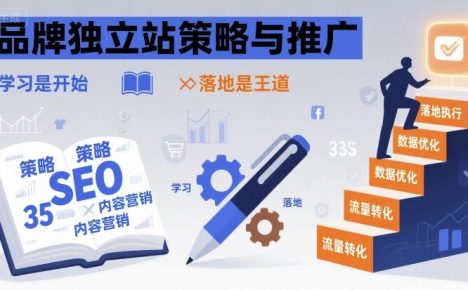 品牌独立站策略与推广,学习是开始,落地是王道