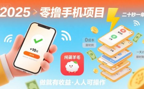 2025年零撸手机项目,二十秒一单,纯薅羊毛 一天2张+做就有
