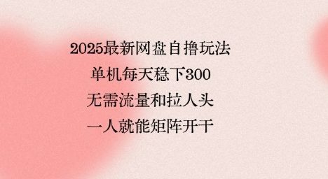 2025最新网盘自撸玩法,单机每天稳下3张,无需流量和拉人头,一个人就可轻松矩阵,全网独一份【揭秘】