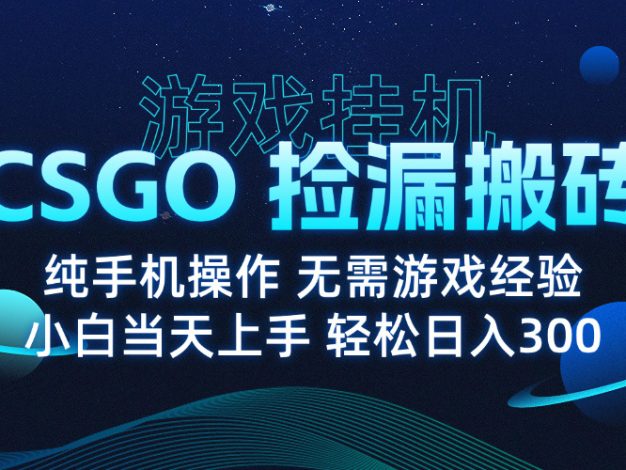 8月最新游戏搬砖,CSGO纯挂机,不需要玩游戏,实现真挂机,月入1W+
